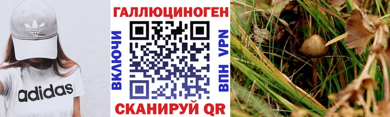 Псилоцибиновые грибы Psilocybine cubensis  купить закладку  ссылка на мегу онион  Кировград 