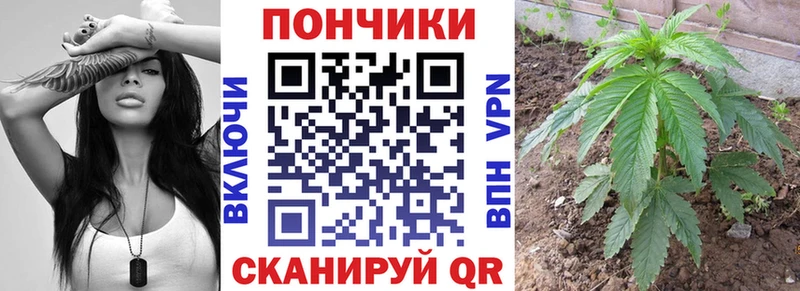 Шишки марихуана тримм  MEGA вход  Кировград 